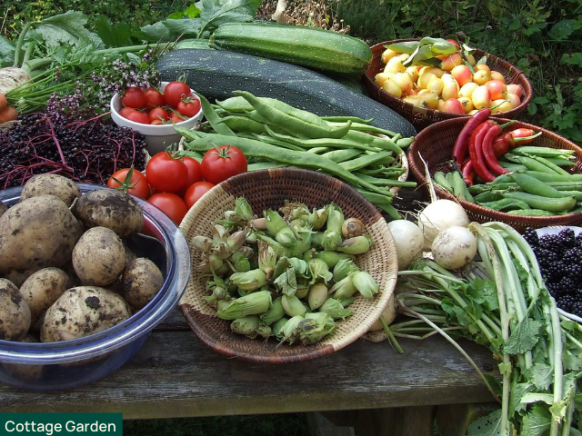 Lots of vegtables from Cottage Gaeden