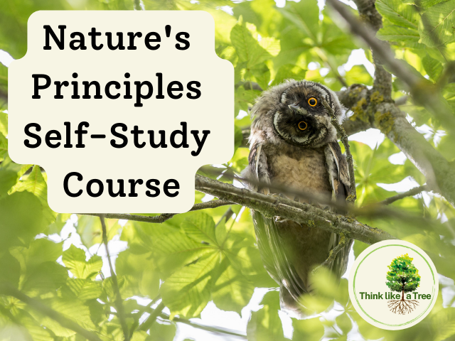 Nature's Principles course logo