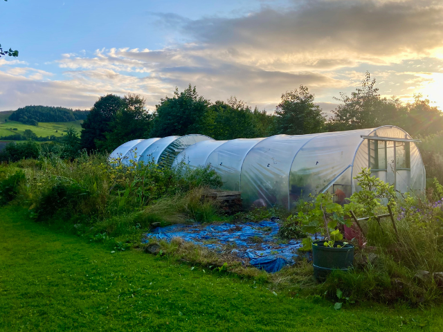 Project polytunnel