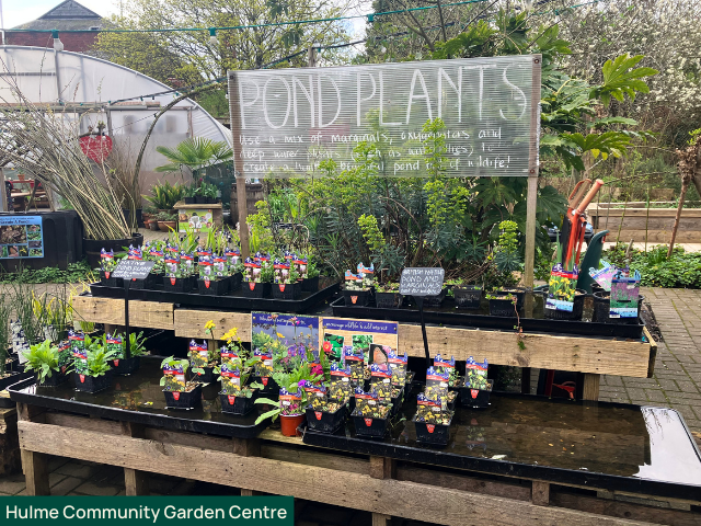 hulme community garden centre plants for sale