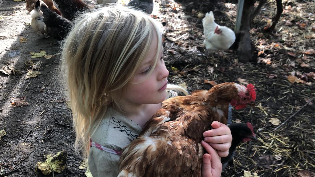 child with hen