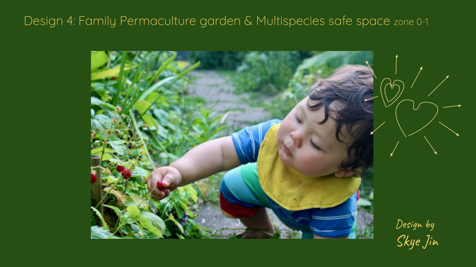 Design 4: Family Permaculture garden and Multispecies safe space by Skye Jin