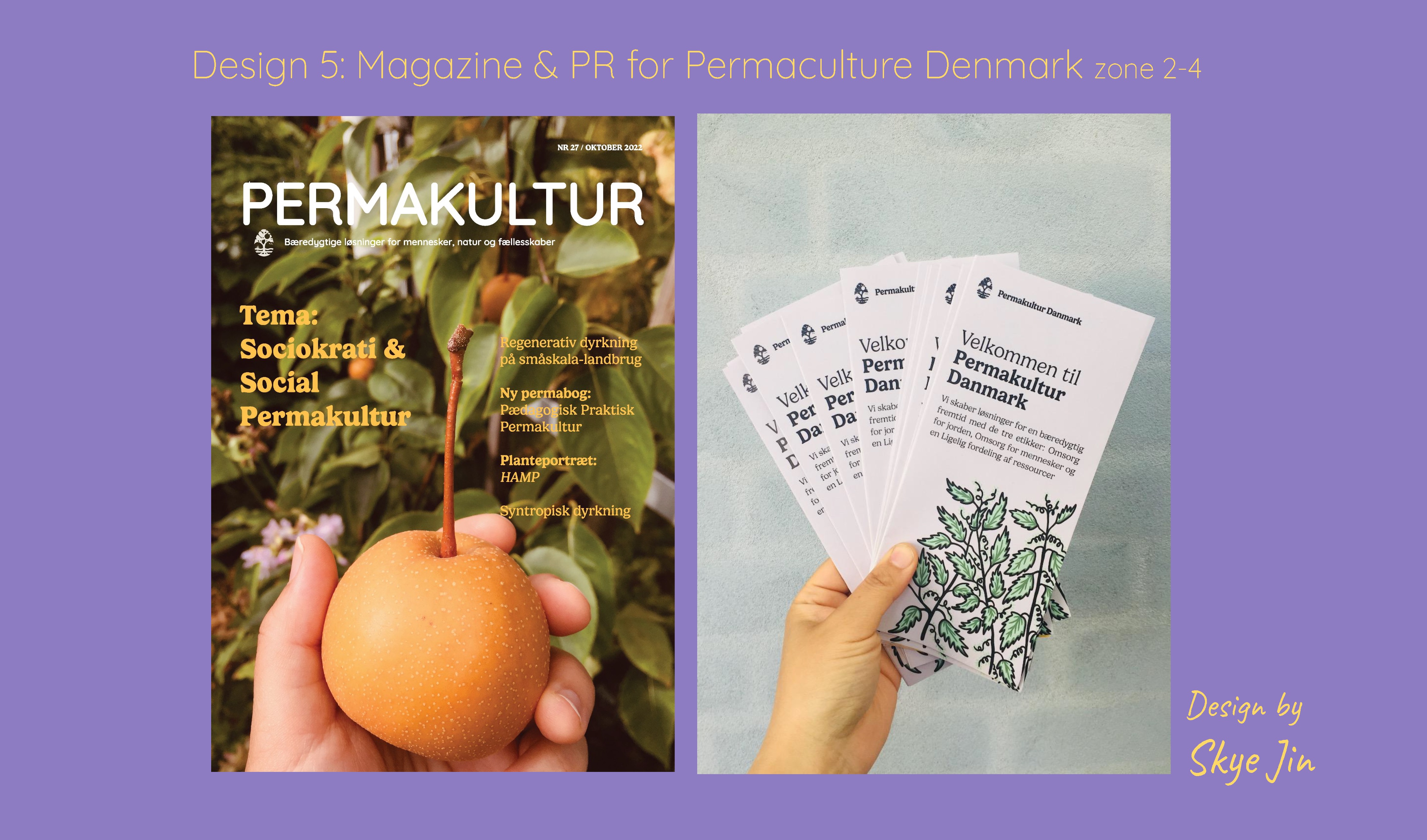 Design 5: Magazine & Visual PR for Permaculture Denmark by Skye Jin