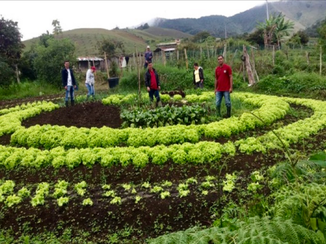 Bioagricultura 4 Colombia