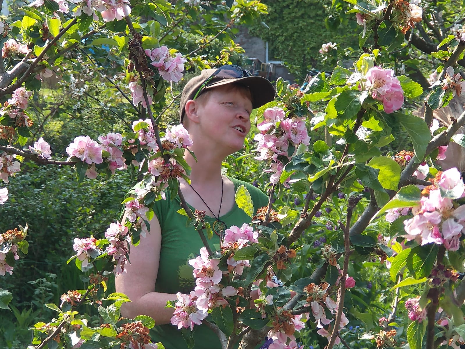Lusi in the apple blossom