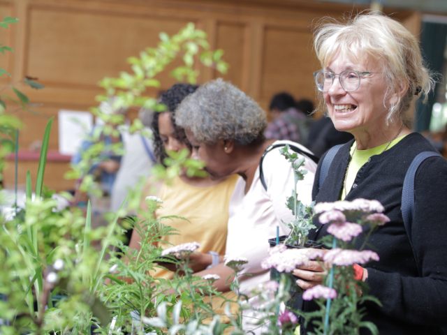 A picture of a woman with glasses and white hair, smiling in front of a stall selling plants