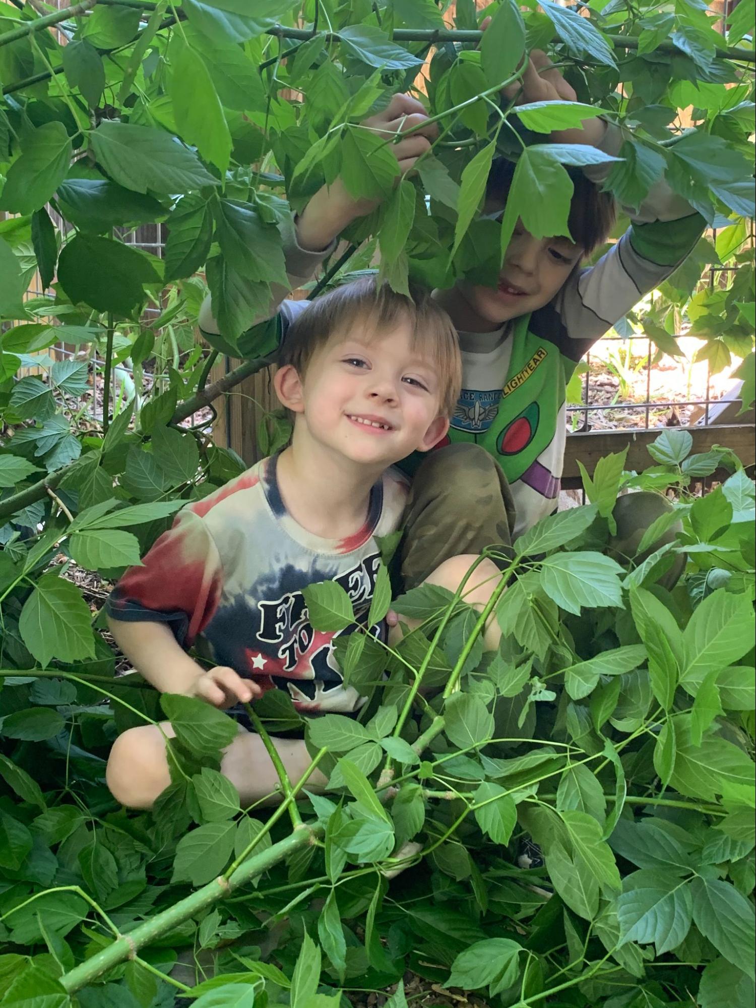 My grandsons were an integral part of designing the Secret Garden, seen here creating a fort with cut branches of a Box Elder tree. 