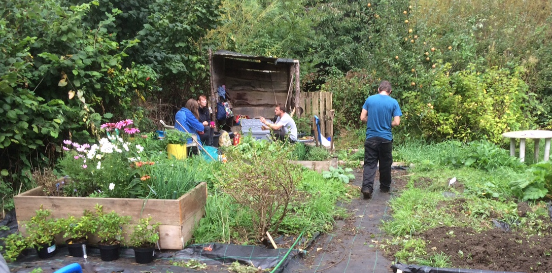 The space is steadily being transformed from an overgrown allotment to our (ever-changing) final design