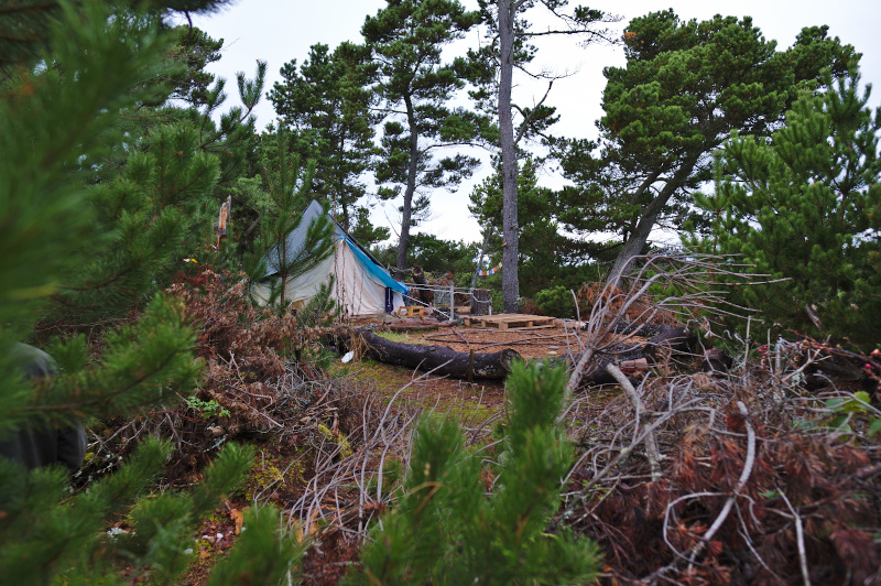 Wild Camping