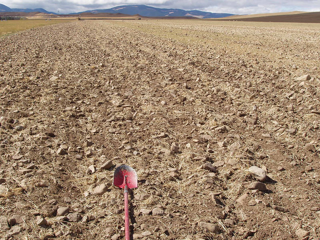 Tilled rocky farmland soil in Montana.