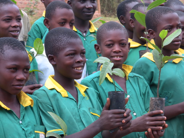 School children receive food trees