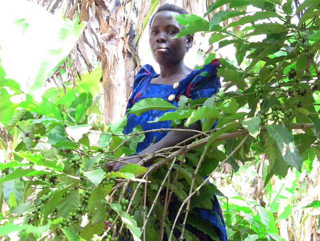 A local farmer, beneficiary of permaculture training