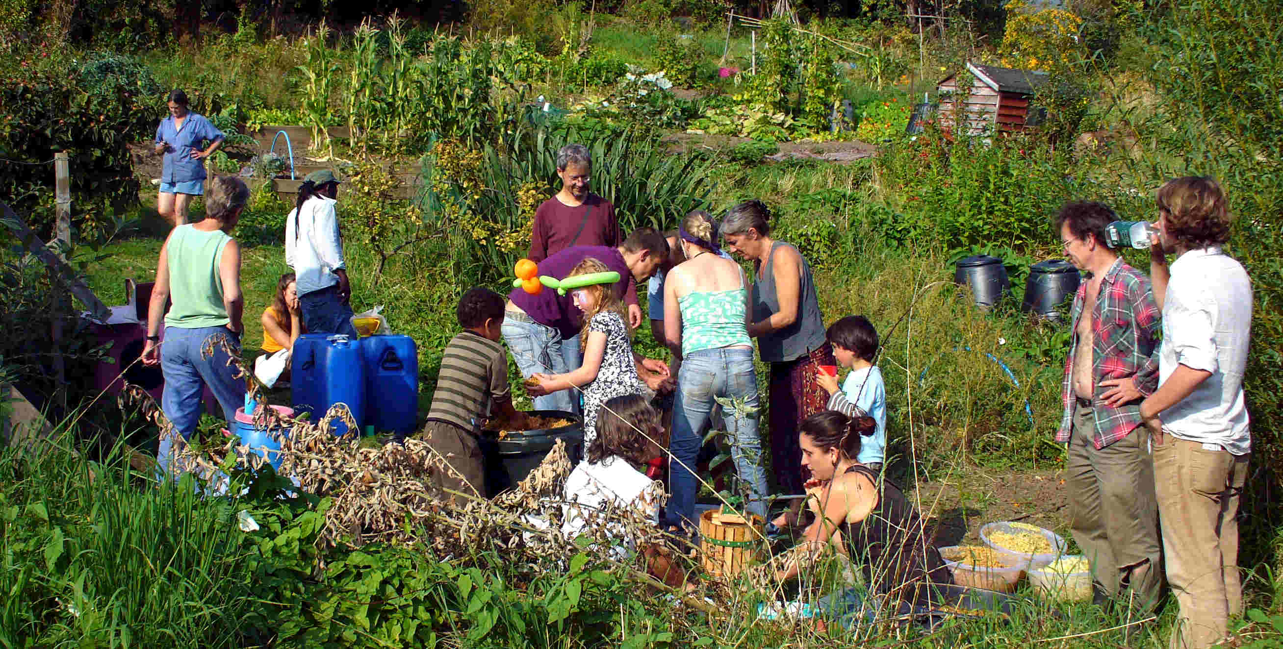 Group on allotment