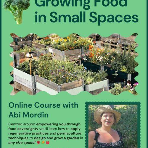 Growing Food in Small Spaces course flyer