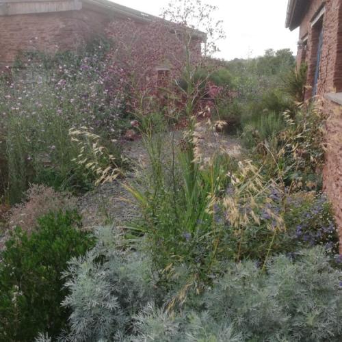 Tom Nielson's Gardening in a Changing Climate Course