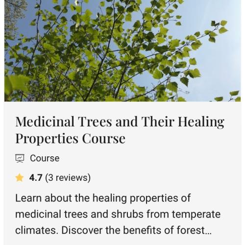 Medicinal Trees and Their Healing Properties